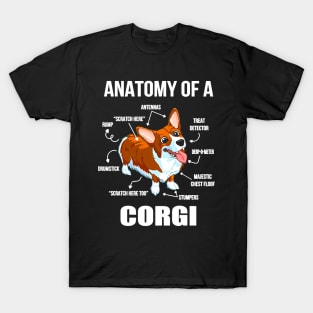 Dog anatomy of a corgifunny dog314 paws T-Shirt